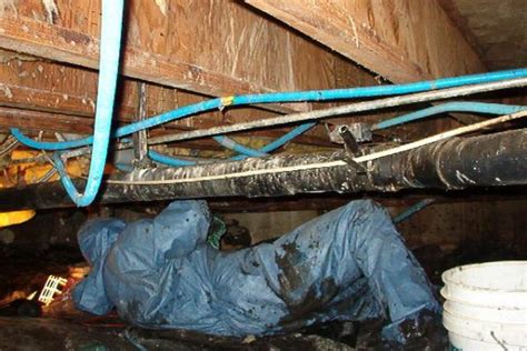 sewage leak in crawl space|How to Cleanup Sewage in a Crawl Space 